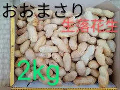 2kg おおまさり 落花生 生落花生 無農薬