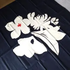 Item thumbnail for item 53c681b2-68f6-46aa-bf54-585ec7cc08fd