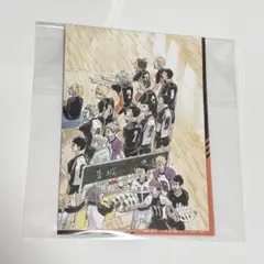 ハイキュー 両面ポスター 最強ジャンプ 付録