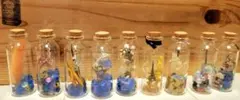 ミニチュアボトル 19個セット ドライフラワー