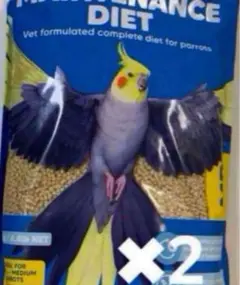 Item thumbnail for item d0f8fefe-3c82-4b0d-88a4-f1b9d243e458