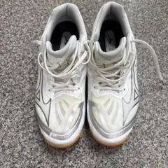 Item thumbnail for item e72b1eee-9b9f-4869-a4e6-54fb8cf255f5