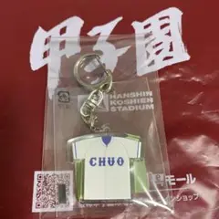 豊橋中央　キーホルダー