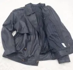 Item thumbnail for item bf426a04-5ee6-4f90-82ed-4b16618d4e8f