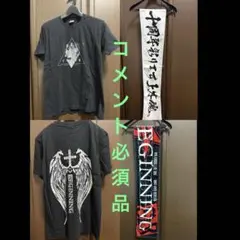 上木彩矢 10周年 ソニラバ ライブグッズ タオル Tシャツ Lサイズ 計4点