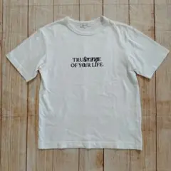 PLST　プラステ　ロゴ　Tシャツ