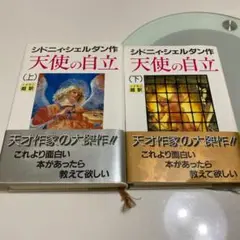 天使の自立 上下