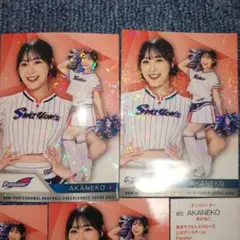 Item thumbnail for item 5026c7e5-0332-4daf-9a20-97e55a1508f8