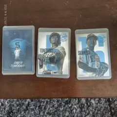 Item thumbnail for item 2272cac5-55de-4fe4-9739-8b8ef18f873f