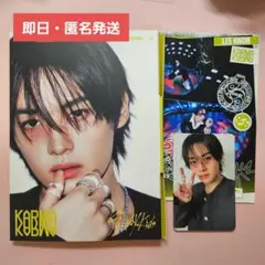Stray Kids スキズ KARMA Accordion リノ トレカ