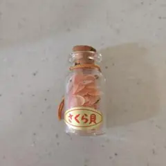 さくら貝の小瓶
