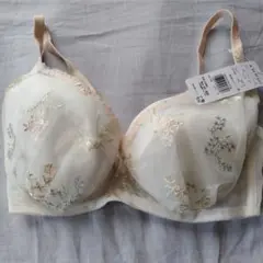 Item thumbnail for item 612edf18-912b-40dc-b90f-129a04893838