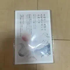★年賀状じまい（新年お知らせ）私製10枚入り 年賀状