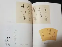 水穂会 日比野五鳳 自撰集 昭和57年刊行 大塚巧藝社 水穂会 日比野五鳳 自撰集 昭和57年刊行 大塚巧藝社 - メルカリ