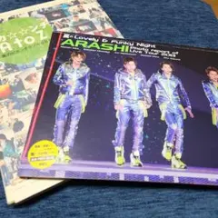 嵐2013、ピカンチダブルな日々