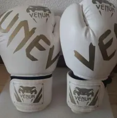 Venum ボクシンググローブ