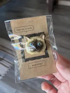 Item thumbnail for item b0e5bb70-0545-45b6-8f8b-9855a395f07c