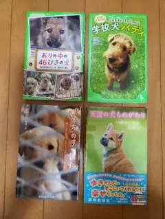 天国の犬ものがたり　他　４冊セット