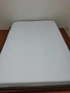 Item thumbnail for item 089a93c2-7b1c-4722-9379-59feb43eedbf