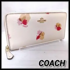 Item thumbnail for item 12c0422e-1274-408b-a5ff-7f940b614019