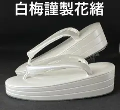 Item thumbnail for item d1159135-02a5-4265-ac2e-0f6413f4dd1f