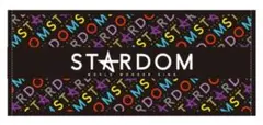【新品】スターダム　STARDOM　タオル