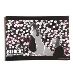 【最終お値下げ】BLEACH 検定 三番隊 鳳橋楼十郎 吉良イヅル