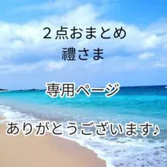 ２点おまとめ✧*。禮さま専用ページ