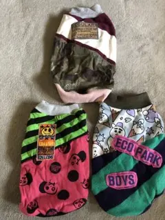 小型犬用3点セットSALEカラフル