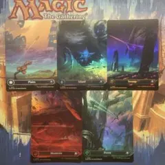 MTG フルアート基本土地 英語版FOIL 5枚セット