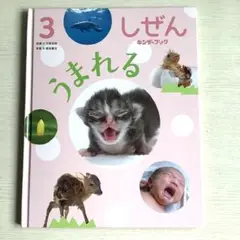 キンダーブック しぜん うまれる 3