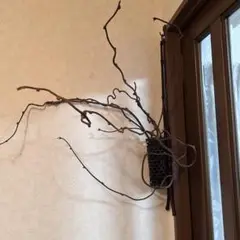 Item thumbnail for item 0135af47-6a31-4af3-94d1-c5079a889464