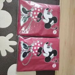 Disney ミニー レインコート