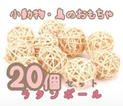 Item thumbnail for item a15d77d5-598f-4fcd-84f6-3bfa27301843