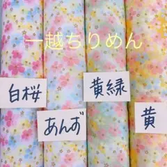 花日和 白桜セット