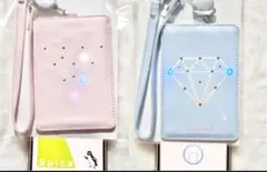 SEVENTEEN セブチ フラッシュパスケース ブルー フラッシュパスケース BLUE / SEVENTEEN WORLD TOUR ＜ODE TO