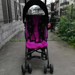 京都市直接お渡しのバギー
