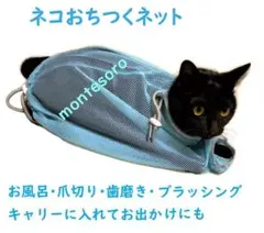 Item thumbnail for item 7e65e4da-18f8-4956-b7ad-20d5f9e72e16