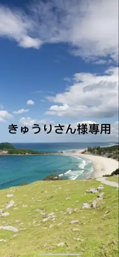 きゅうりさん様專用（160）