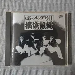 ぶっちぎりII T.C.R. 横浜 銀蝿 R.S.