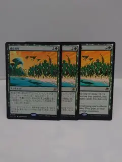 荷役区域　 3枚セット　日語2枚　英語1枚　EOE 久遠の終端