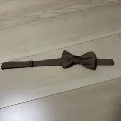 Item thumbnail for item ceab06c1-dd38-4be3-98d5-2c0785282b9c