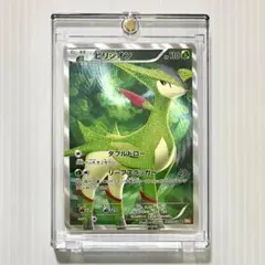 ビリジオン　SR ポケモンカード