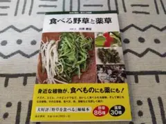 食べる野草と薬草