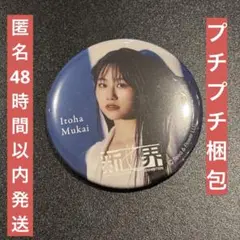 櫻坂46 新せ界 缶バッジ 向井純葉