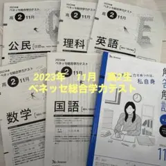ベネッセ 高校2年 11月 総合学力テスト 全教科