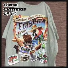 【アニマル】半袖Tシャツ　オウム　くすみ緑　ビーチ　南国　ハンモック＠３