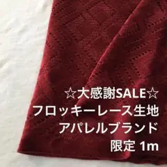 2FL/5405◆1m 感謝祭/限定/ポリレーヨン混フロッキーレース生地