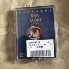 名探偵コナン　壁付けアクリルキーホルダー　毛利蘭