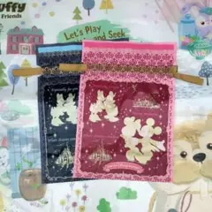東京ディズニーリゾート ショッパー　2枚